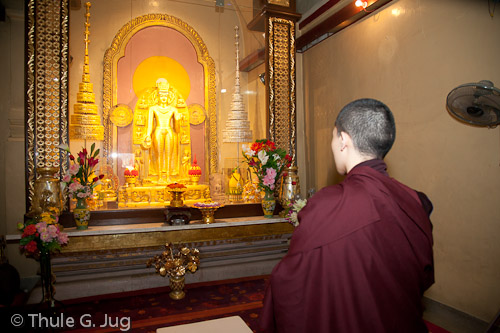 Gyalwa Karmapa