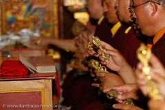 Karmapa at the Kagyu Monlam
                                          2012Shamar Rinpoche