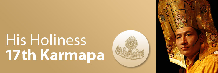 His Holiness Gyalwa Karmapa