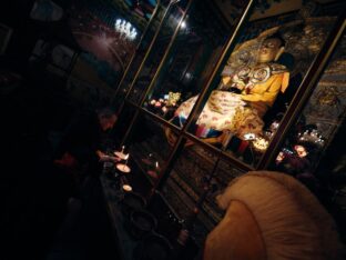 Thaye Dorje, His Holiness the 17th Gyalwa Karmapa, presided over the 2024 Kagyu Monlam in Bodh Gaya. Photo: Tokpa Korlo