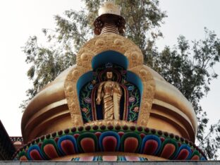 Thaye Dorje, His Holiness the 17th Gyalwa Karmapa, presided over the 2024 Kagyu Monlam in Bodh Gaya. Photo: Tokpa Korlo