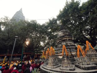 Thaye Dorje, His Holiness the 17th Gyalwa Karmapa, presided over the 2024 Kagyu Monlam in Bodh Gaya. Photo: Tokpa Korlo