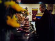 Public Meditation Course 2024 at the Karmapa International Buddhist Institute