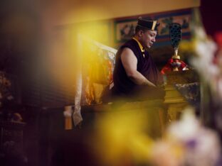 Public Meditation Course 2024 at the Karmapa International Buddhist Institute. Photo: Tokpa Korlo