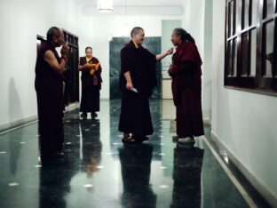 Public Meditation Course 2024 at the Karmapa International Buddhist Institute. Photo: Tokpa Korlo