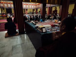 Public Meditation Course 2024 at the Karmapa International Buddhist Institute. Photo: Tokpa Korlo