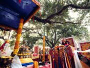 Thaye Dorje, His Holiness the 17th Gyalwa Karmapa, presided over the 2024 Kagyu Monlam in Bodh Gaya. Photo: Tokpa Korlo