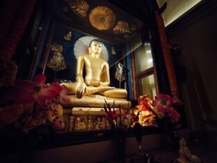 Thaye Dorje, His Holiness the 17th Gyalwa Karmapa, presided over the 2024 Kagyu Monlam in Bodh Gaya. Photo: Tokpa Korlo