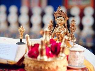 Thaye Dorje, His Holiness the 17th Gyalwa Karmapa, presided over the 2024 Kagyu Monlam in Bodh Gaya. Photo: Tokpa Korlo