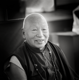Geneva Centre for the Study of Tibetan Buddhism - The 17th Karmapa ...